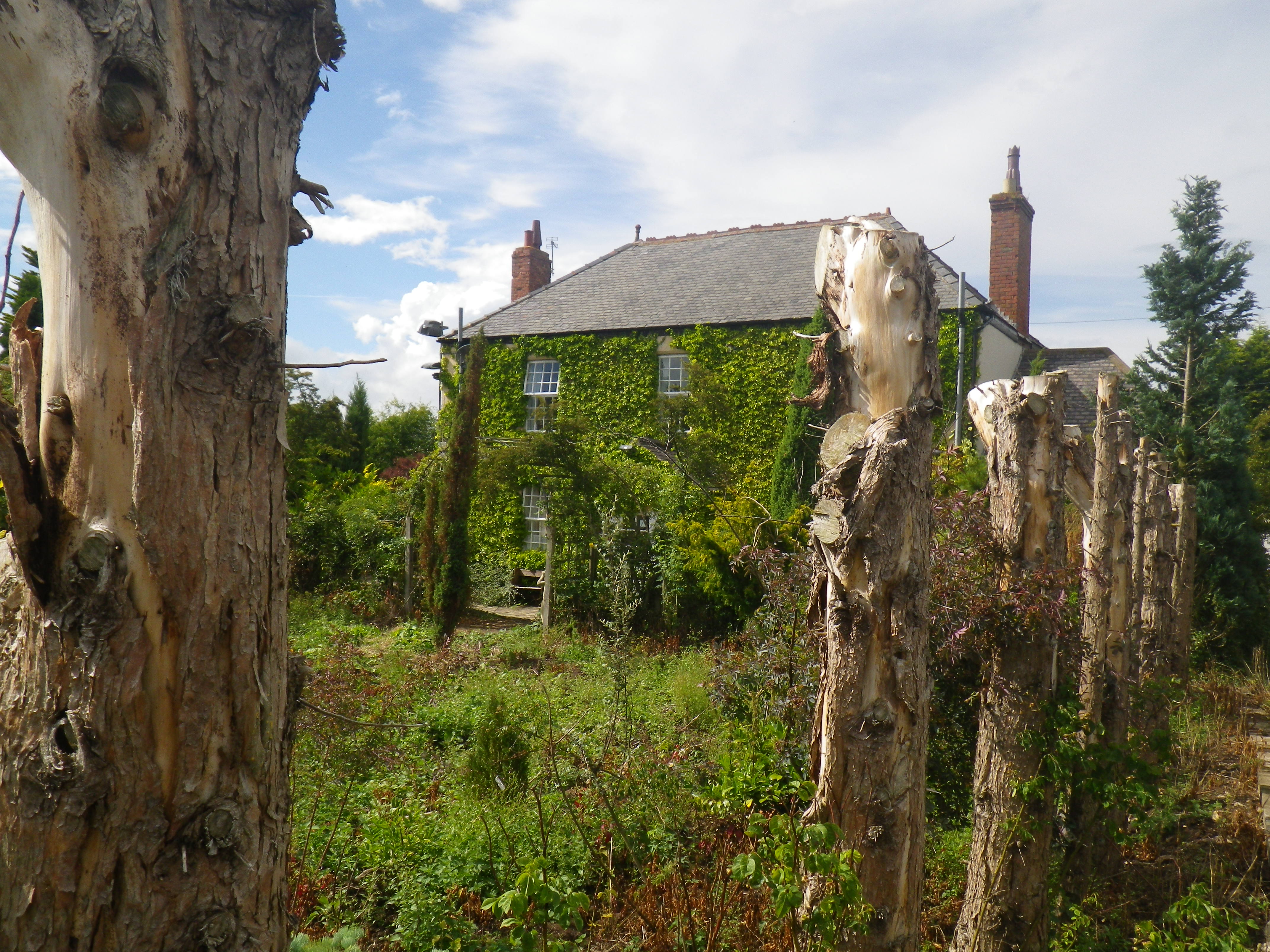 Dromonby Bridge B&B-酒店景观