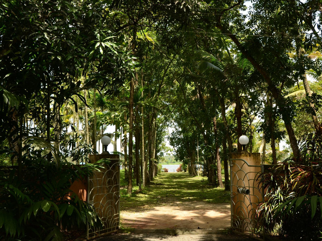 Ayanat House Homestay主图