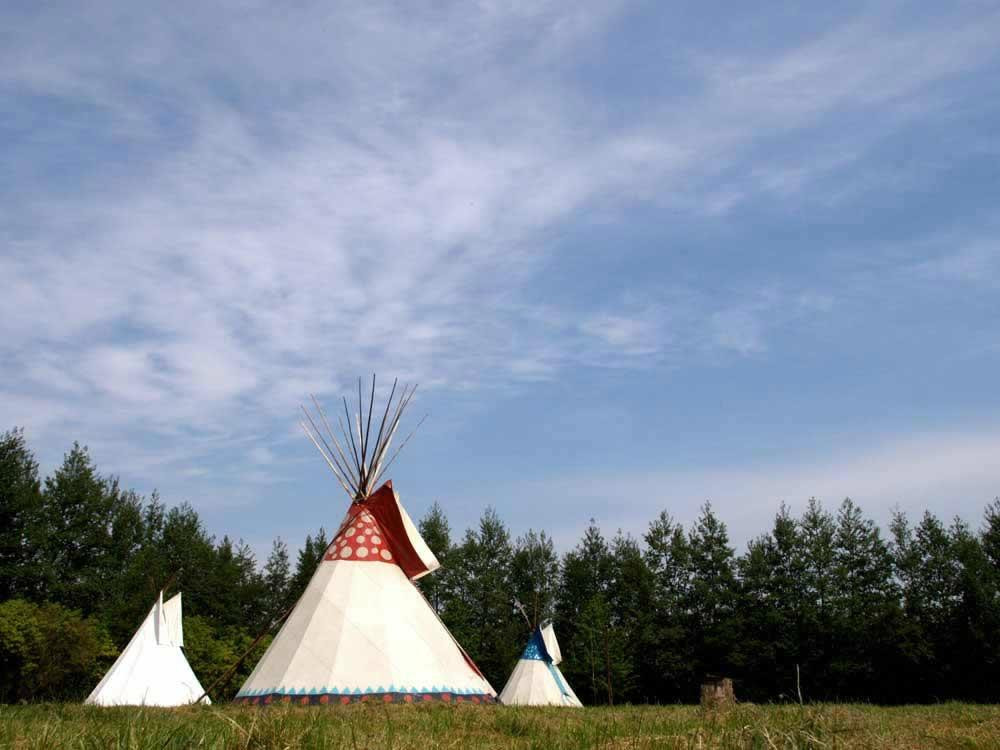 Sussex Tipi Holidays