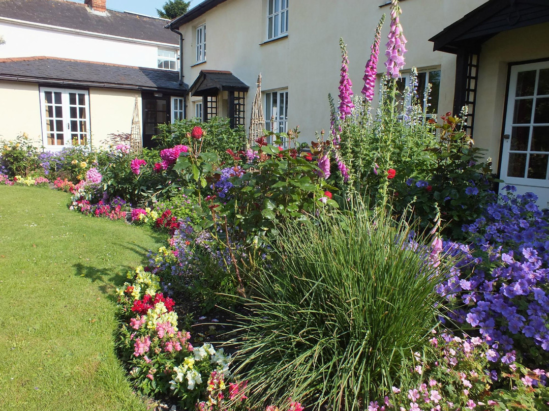 Colindale Cottage Bed & Breakfast主图