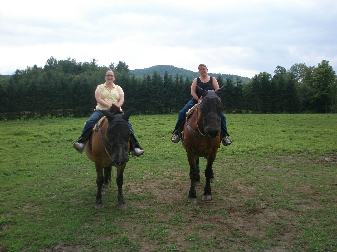 Lajoie Stables-Jeffersonville必去景点