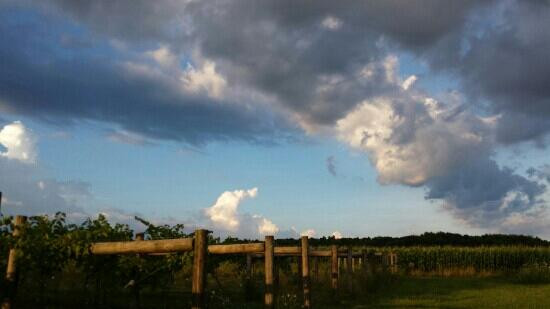 Myrddin Winery-Berlin Center必去景点