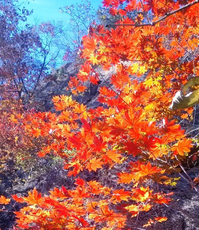 丹东天华山-宽甸满族自治县必去景点