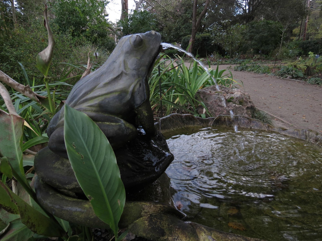 Elizabeth F. Gamble Garden-帕罗奥多必去景点
