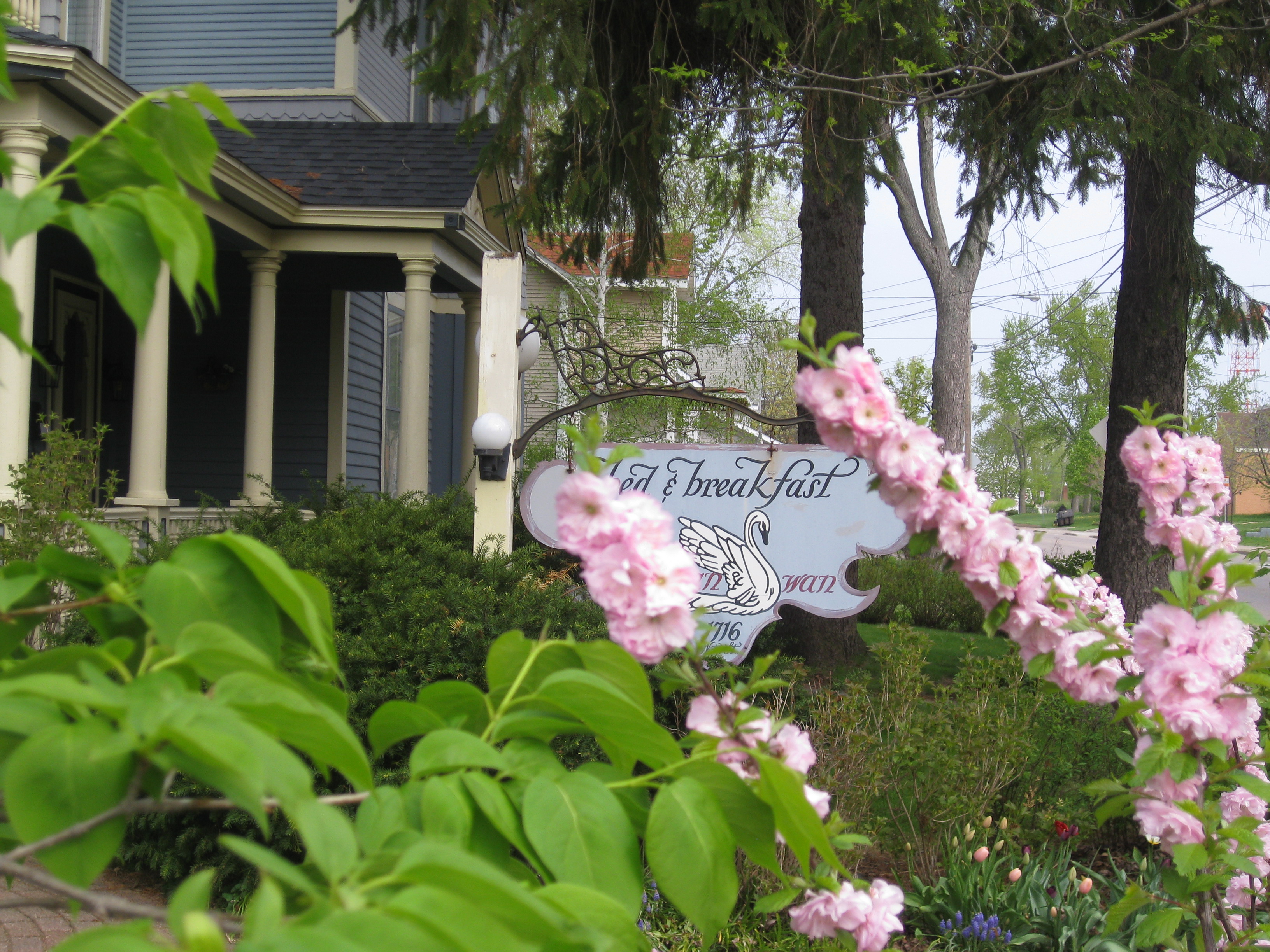 A Victorian Swan on Water Bed & Breakfast-官方