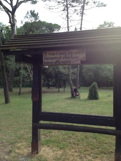 Pineta di Milano Marittima景点图片