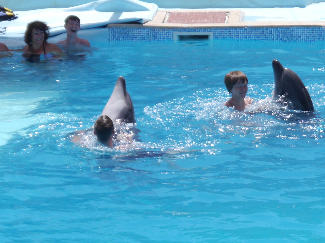 Dolphina Park-沙姆沙伊赫必去景点