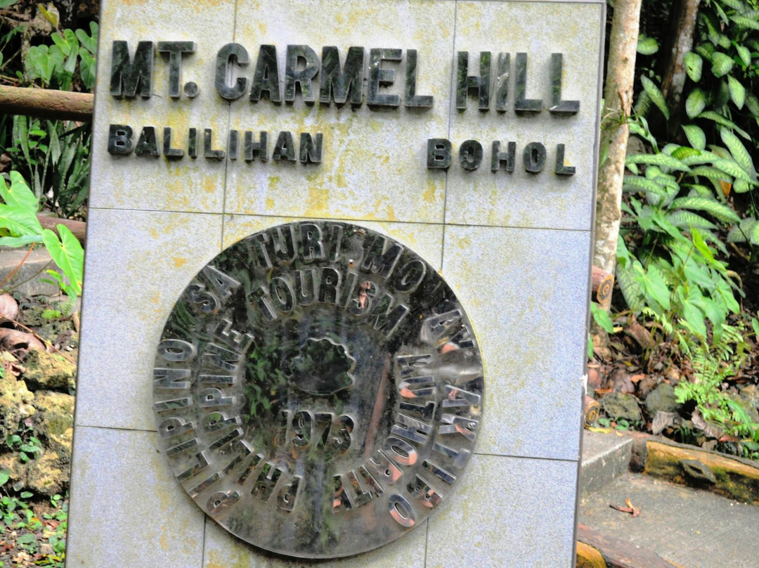 Mount Carmel Hill景点图片
