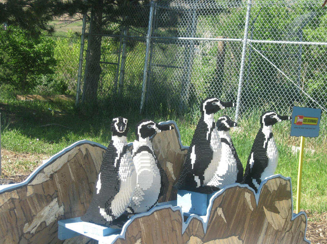 犹他州霍格尔动物园-盐湖城必去景点