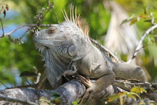 Red Pacific Sunset - Alex Tours-波特雷罗必去景点