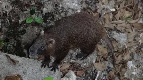 Maria La Gorda-古巴必去景点