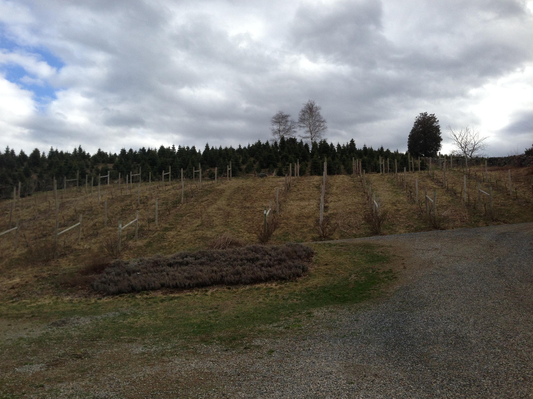 Jones Family Farm-谢尔顿必去景点