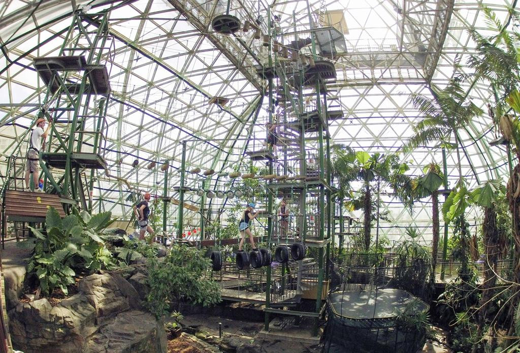 Cairns ZOOM and Wildlife Dome-凯恩斯必去景点