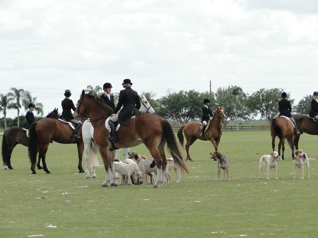 Sarasota Polo-Lakewood Ranch必去景点