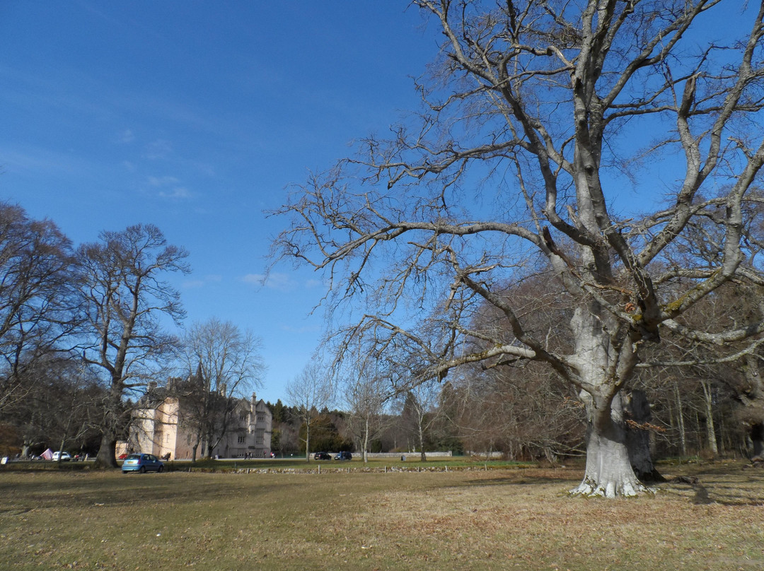 Brodie Castle & Estate-福里斯必去景点