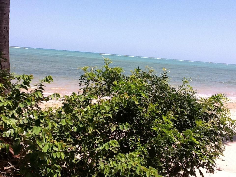 Pousada das Acacias主图