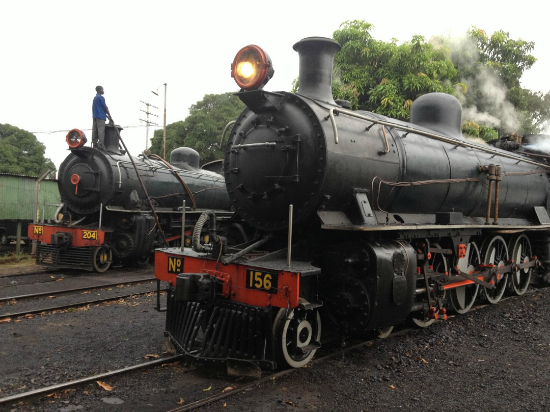 Royal Livingstone Express景点图片