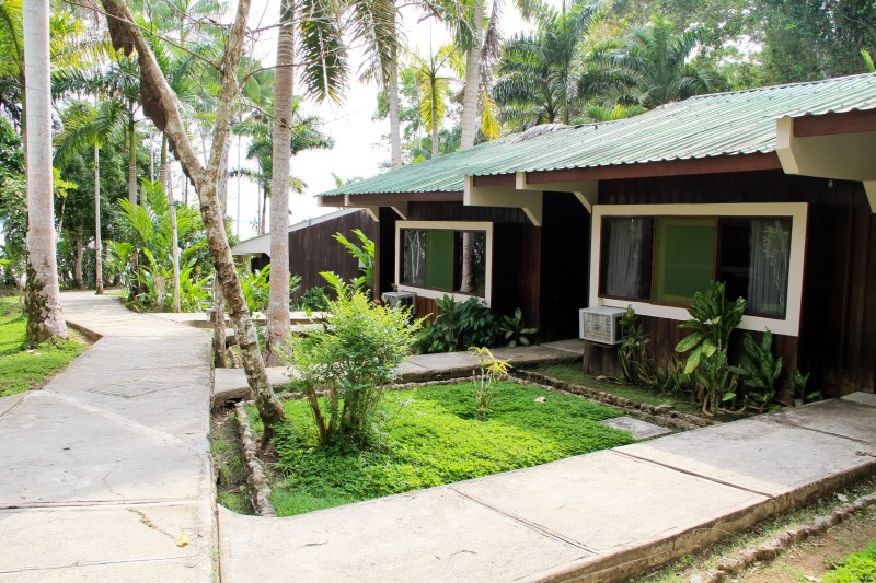 Ceiba Tops Lodge by Explorama