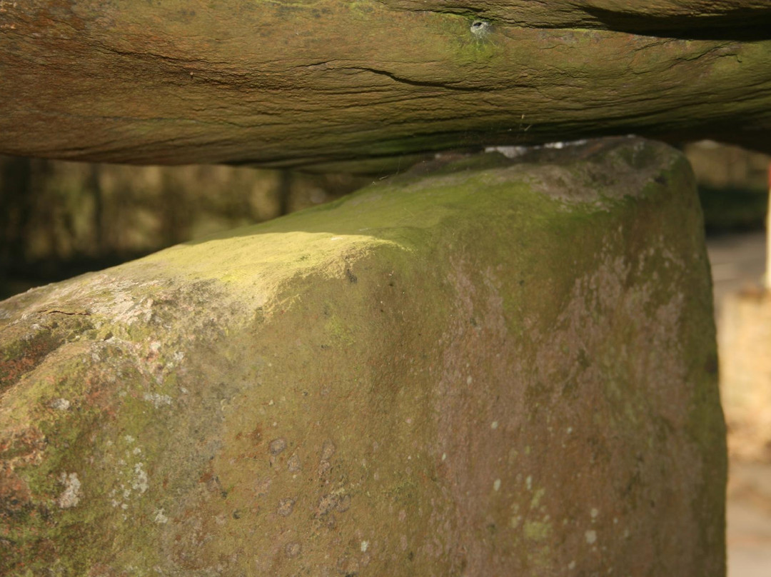 Ballylumford Dolmen景点图片