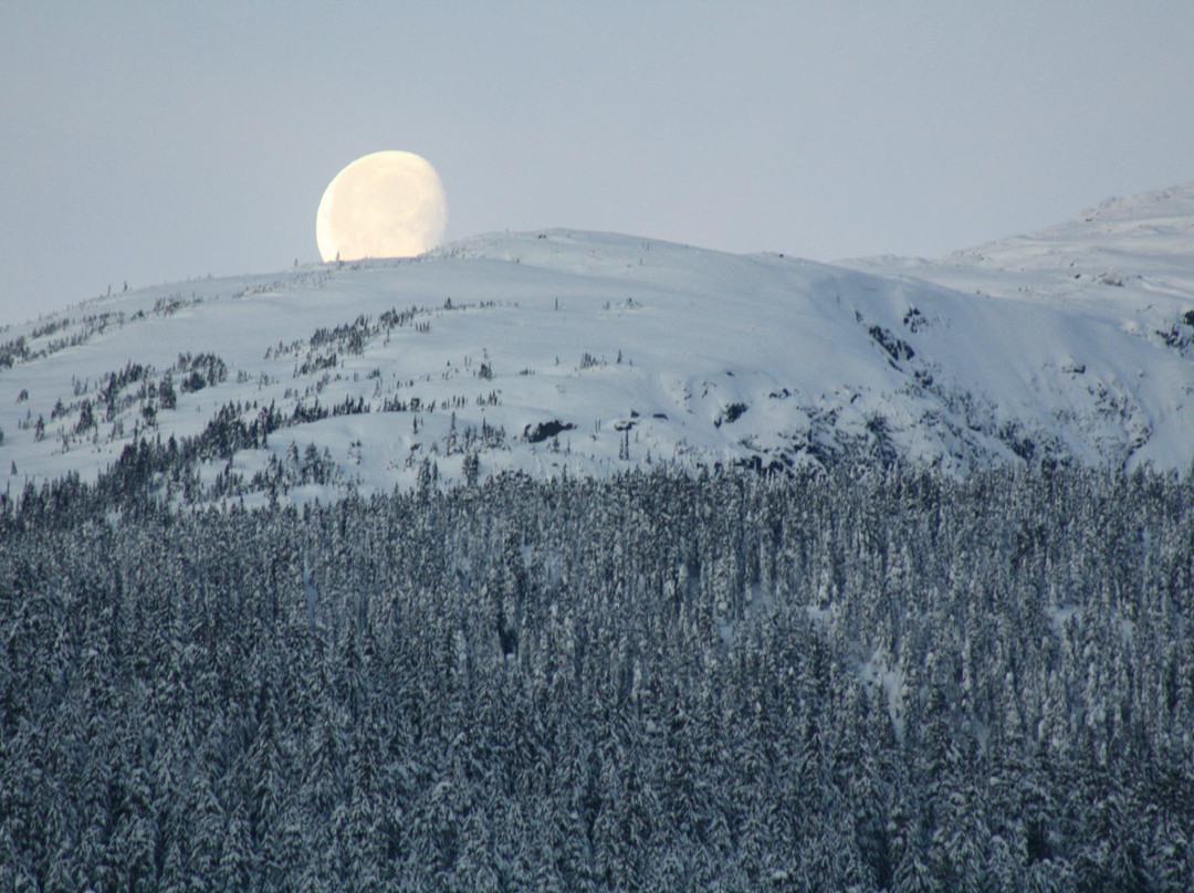 The Farmhouse Bed and Breakfast主图