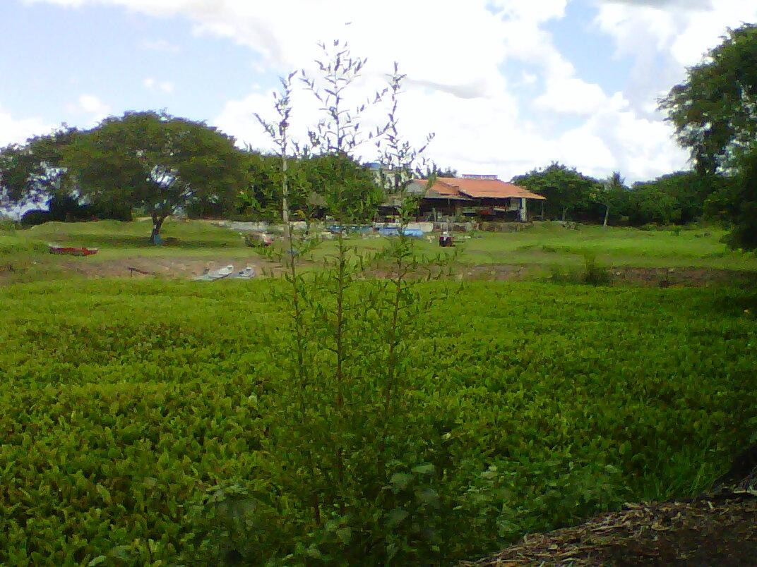 Pousada Pantanal