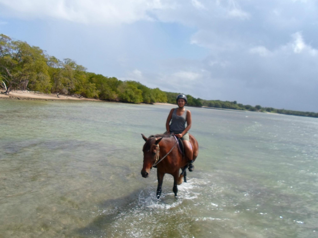 Friendship Riding Stables-Canaan必去景点