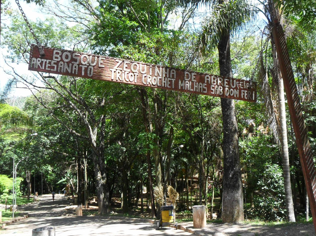 Bosque Zequinha de Abreu-阿瓜斯迪林多亚必去景点
