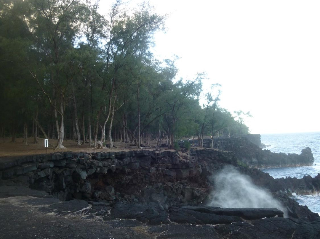 MacKenzie State Park-夏威夷大岛必去景点
