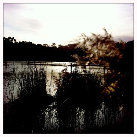 新港湖区公园-墨尔本必去景点