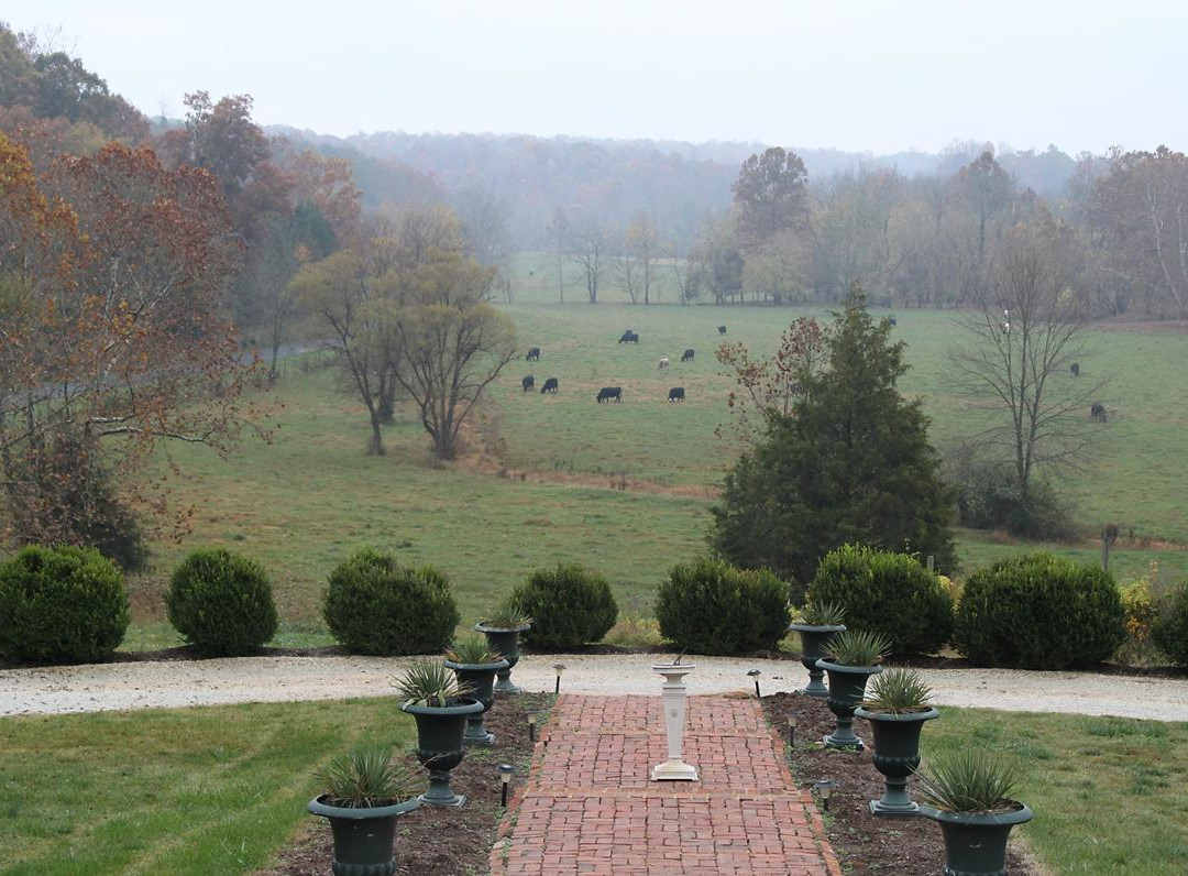 Spring Grove Farm Bed and Breakfast主图