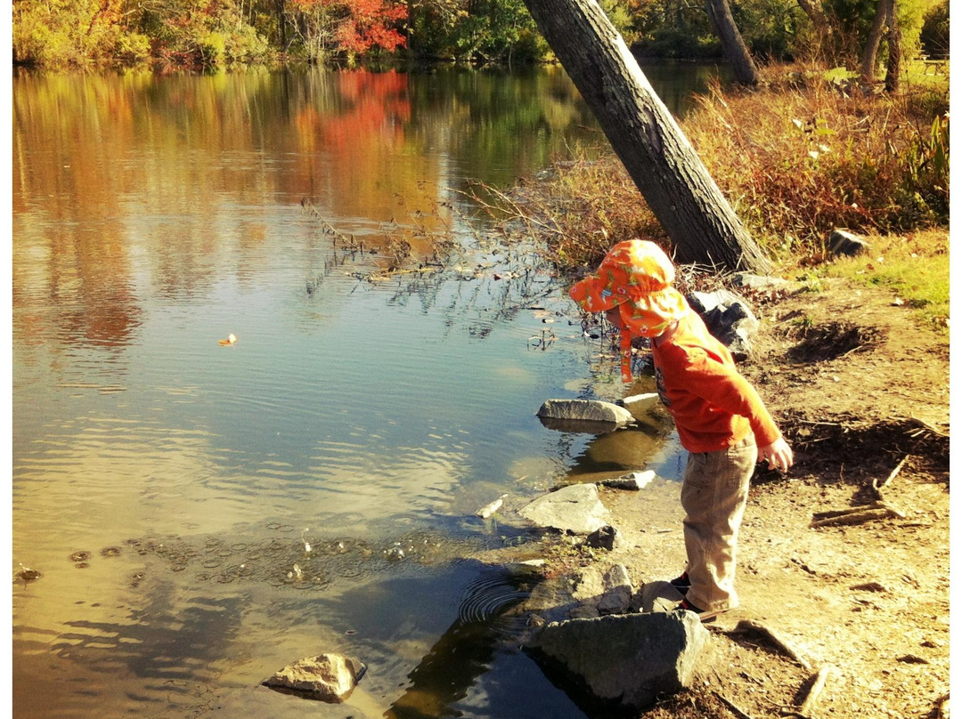 Milton Memorial Park-Milton必去景点