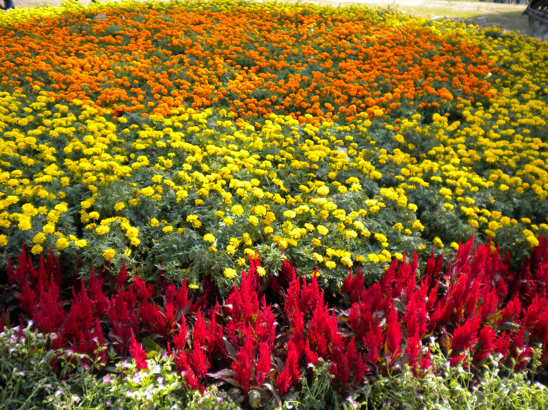 湖南森林植物园-长沙市必去景点