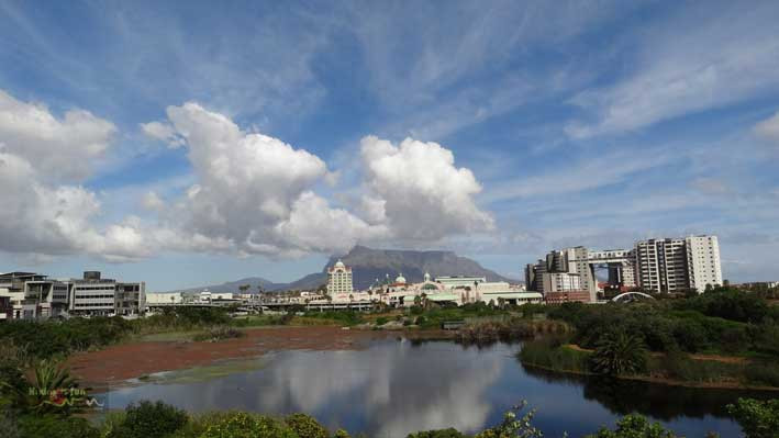 Intaka Island-开普敦中心区必去景点