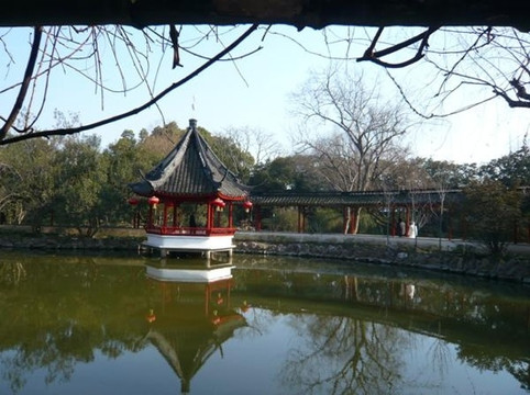 醉白池公园-上海市必去景点