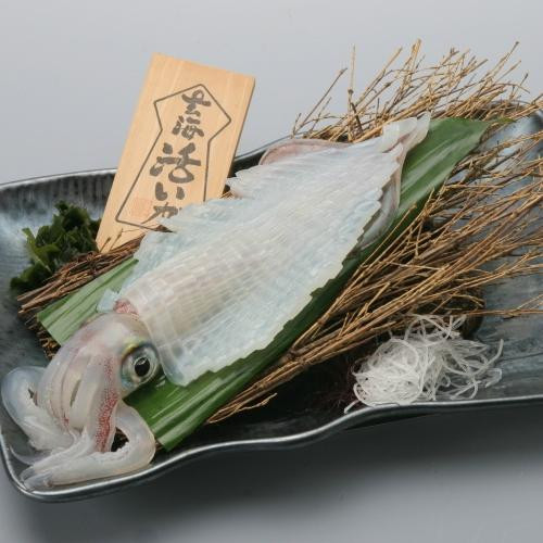 Matsukazeso主图