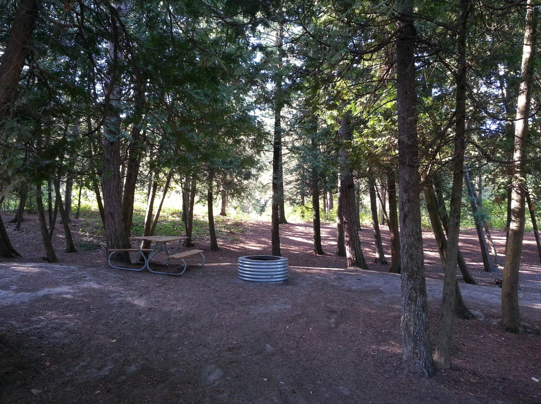 Wilderness State Park-Carp Lake必去景点