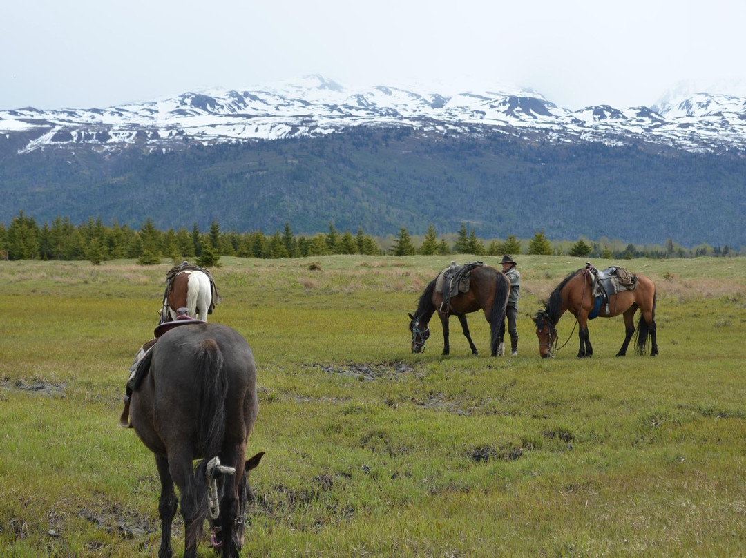 Trails End Horse Adventures-荷马必去景点