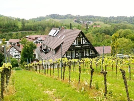 Lauf酒店住宿-Pension am Weinberg