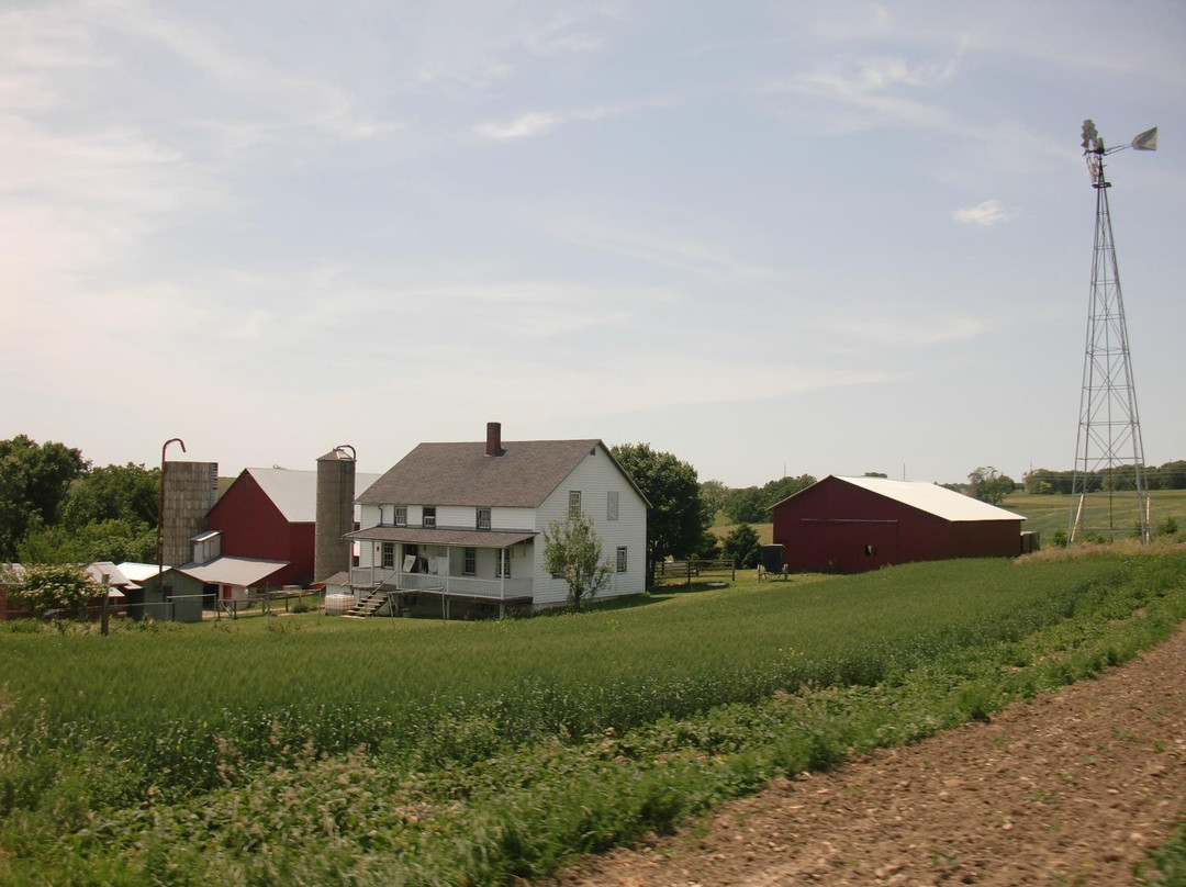 Amish Tours of Harmony-Harmony必去景点