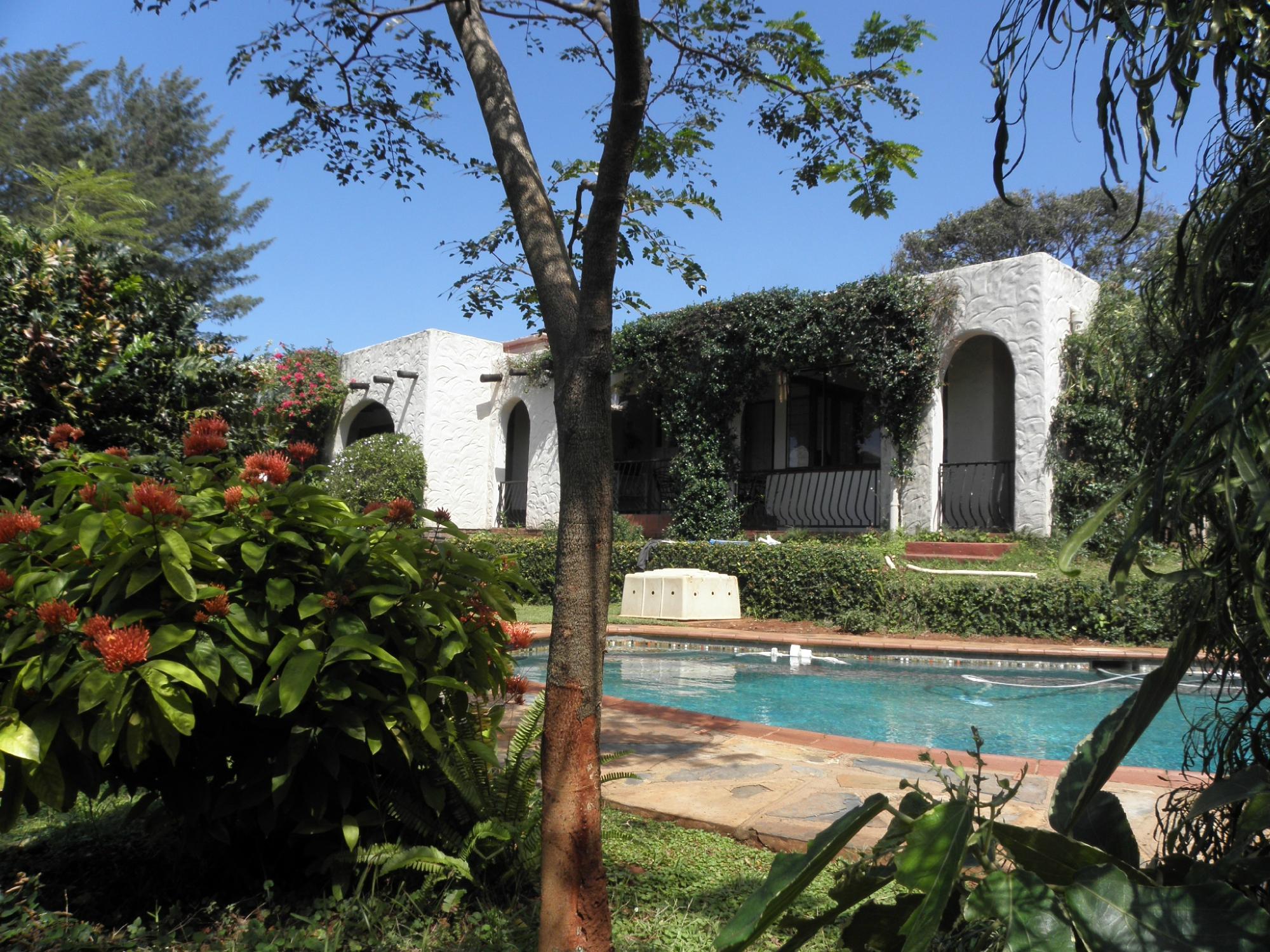 Hilltop-Durban B&B-泳池