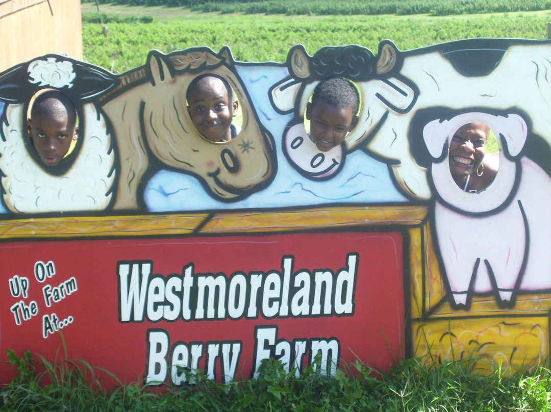 Westmoreland Berry Farm & Market景点图片