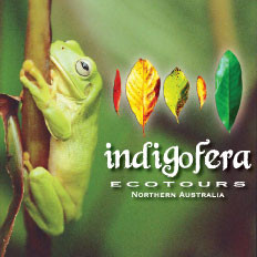 Indigofera Ecotours