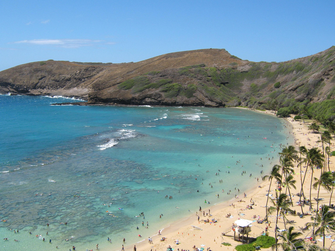 恐龙湾自然保护区-火奴鲁鲁必去景点
