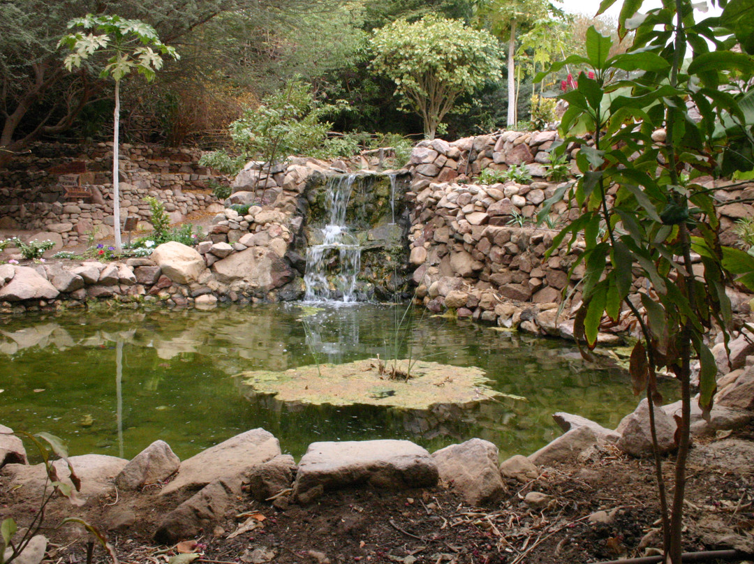 The Botanical Garden Of Eilat-埃拉特必去景点
