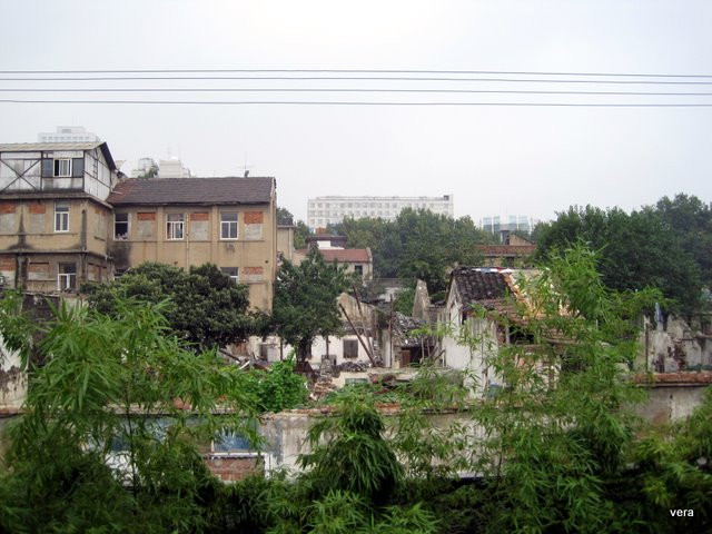 瞻园-南京市必去景点