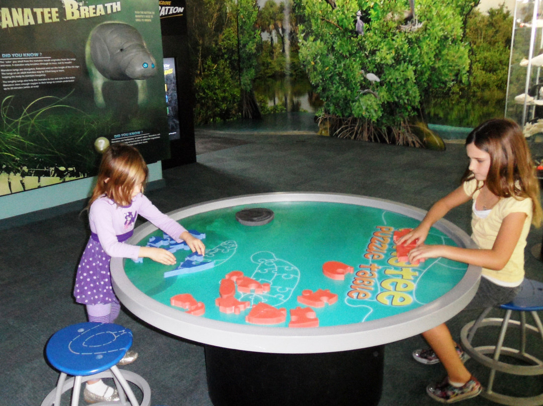 Tampa Electric's Manatee Viewing Center景点图片