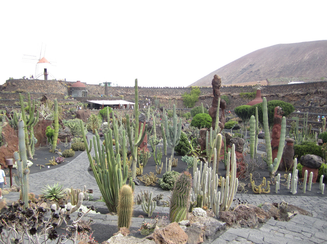 Jardin de Cactus-Guatiza必去景点