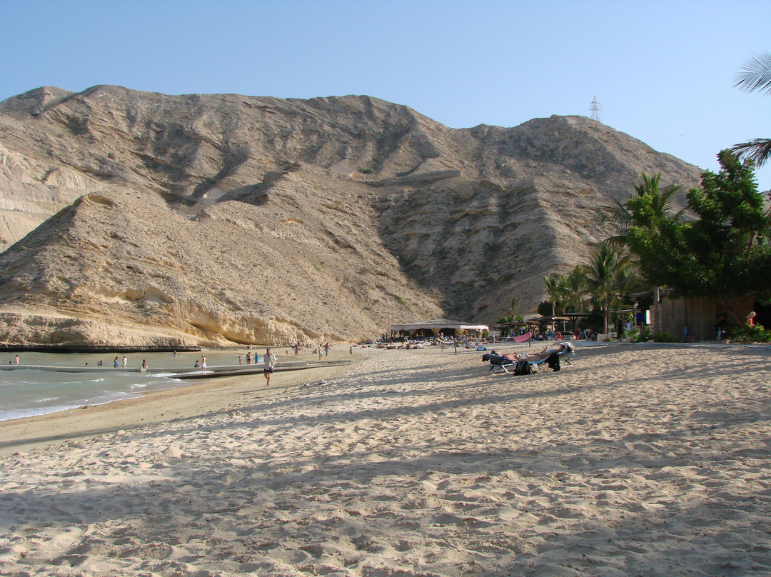 Oman Dive Center-马斯喀特必去景点