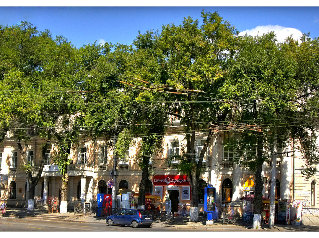 Guest House Suisse主图