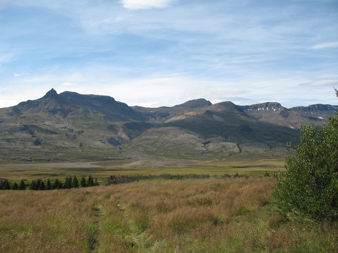 Odin Tours-Breiddalsvik必去景点